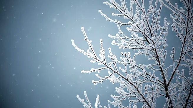 New York Faces Prolonged Freezing Temperatures and Possible Snow