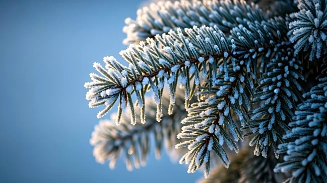 Extreme Cold Warning in Northwest NC, Southwest VA, Southeast WV Until Noon