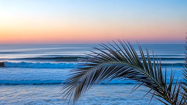 South Florida Prepares for Cold Weekend with Temperature Drop