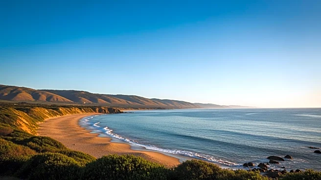 Bay Area Weather: Clear Skies and Mild Temperatures Expected