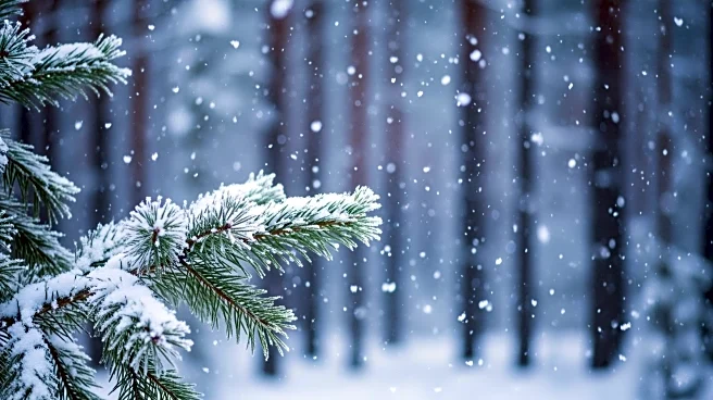 Snow Showers Expected in Newport, Vermont