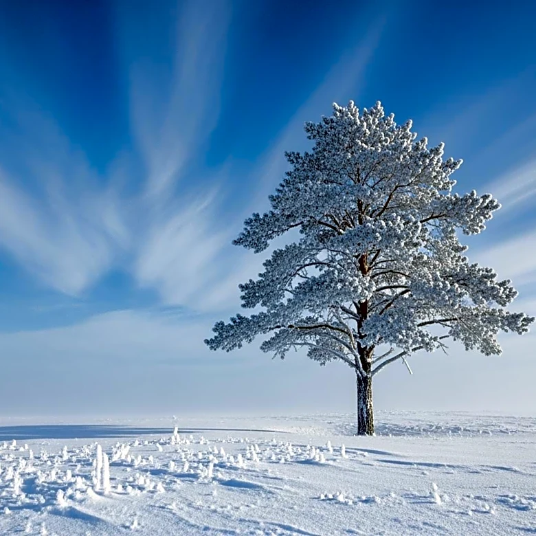 Polar Vortex Weakens, Frigid Temperatures Expected in Northeast