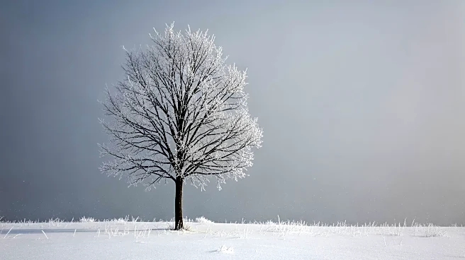 Maryland Faces 35 Cold-Weather Deaths Amid Harsh Winter Conditions