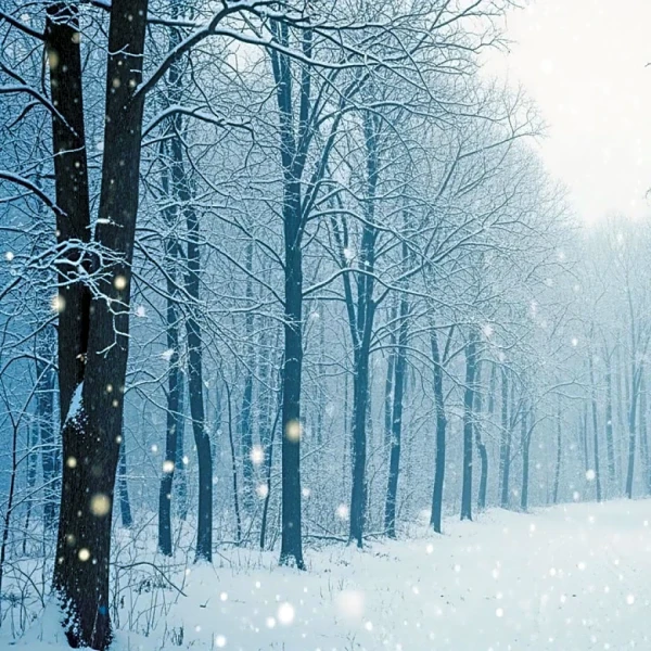 West Virginia Weather Forecast: Snowfall Expected on February 5, 2026