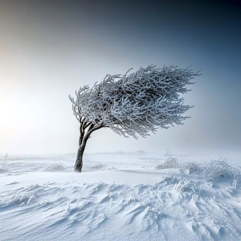 Snow Squalls and Extreme Cold Expected in Philadelphia Region