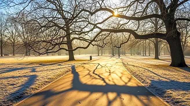 Sunny Thursday in Baltimore, Bitter Cold Expected This Weekend