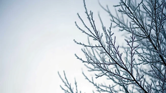 Extreme Cold Warning Issued for New York and New Jersey This Weekend