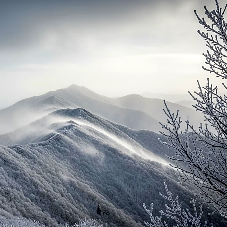 Winter Storm Warning: Near Blizzard Conditions in Northeast and Appalachians