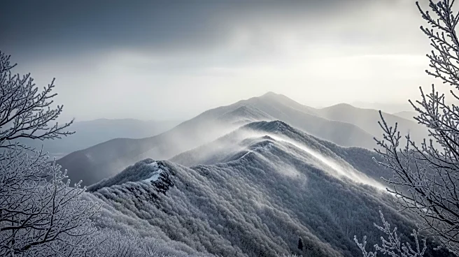 Winter Storm Warning: Near Blizzard Conditions in Northeast and Appalachians