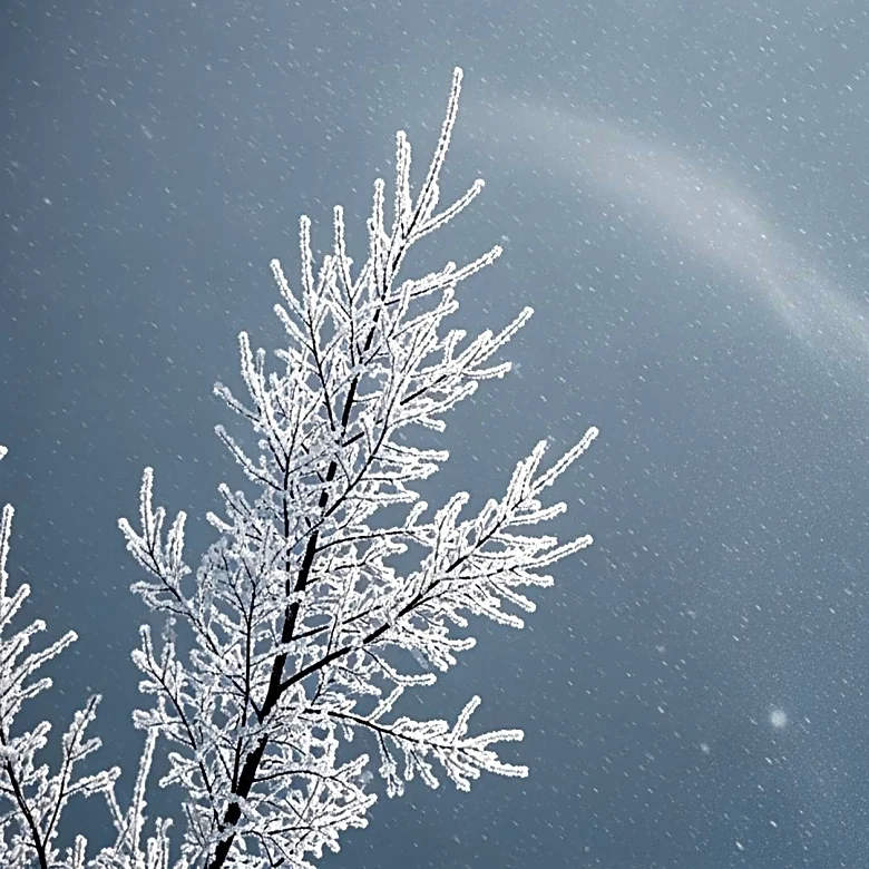 Snow Squalls and Arctic Cold Expected in Philadelphia Region