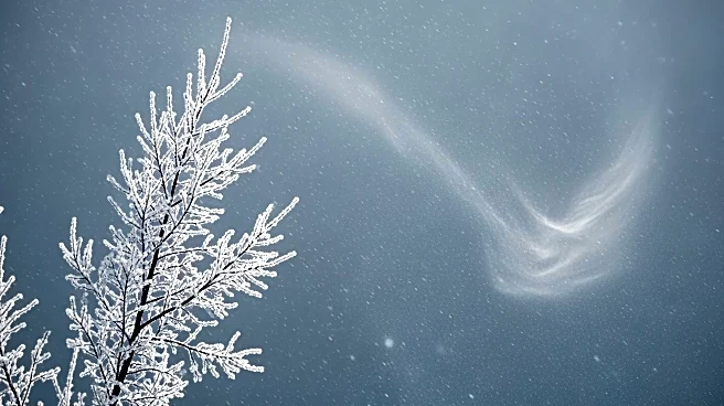 Snow Squalls and Arctic Cold Expected in Philadelphia Region