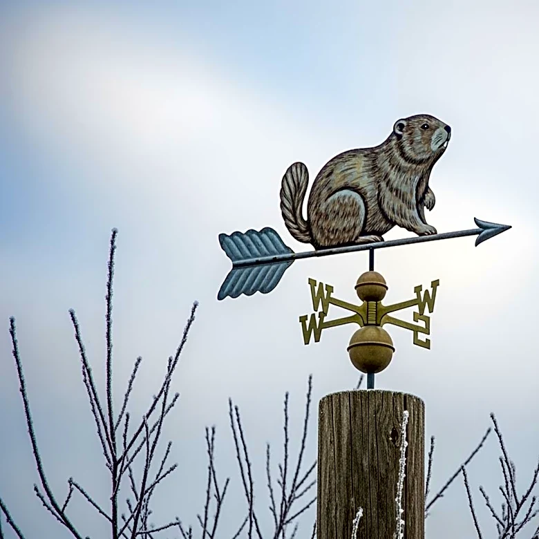 Punxsutawney Phil Predicts Extended Winter for Illinois