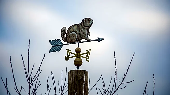 Punxsutawney Phil Predicts Extended Winter for Illinois