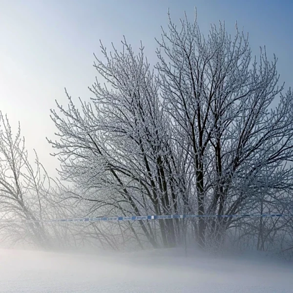 Arctic Blast Hits Northeast with Negative Windchills