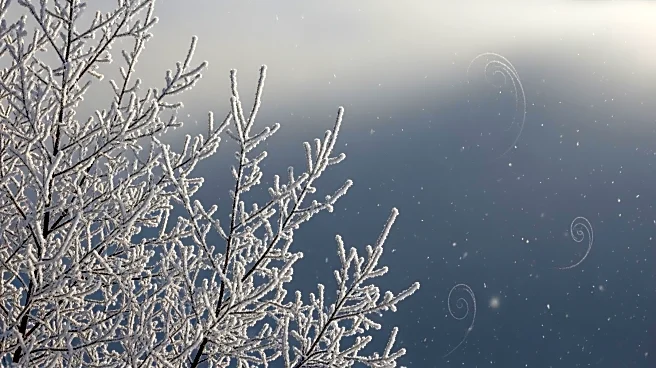 Snow and Ice Impact Northeast as Severe Weather Threatens the South