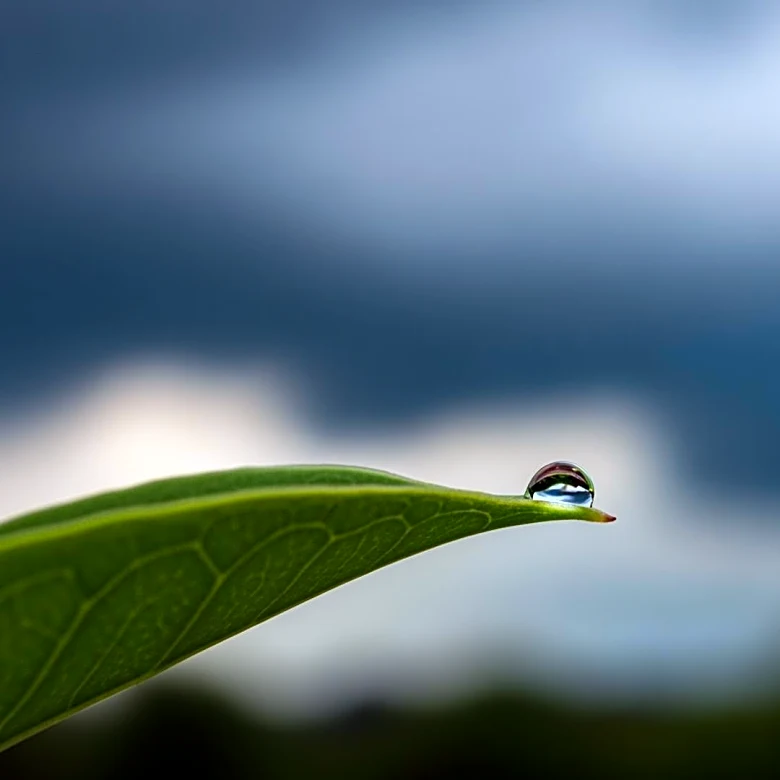 Rain Expected in Weston, WV Tonight with 80% Chance