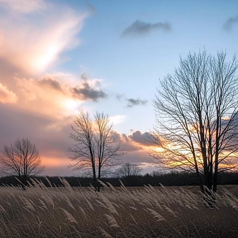 Milder Weather and Potential Storm in Maryland This Sunday