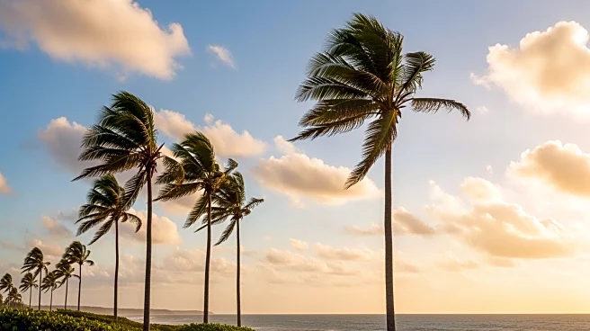 High Winds in Hawaii Expected to Subside, Remain Breezy