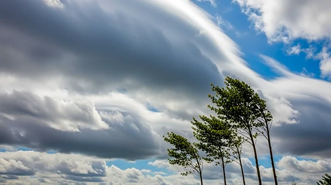 Partly Cloudy Weather in Romney, WV with Gusty Winds