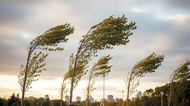 Windy Conditions and Mild Temperatures in Philadelphia
