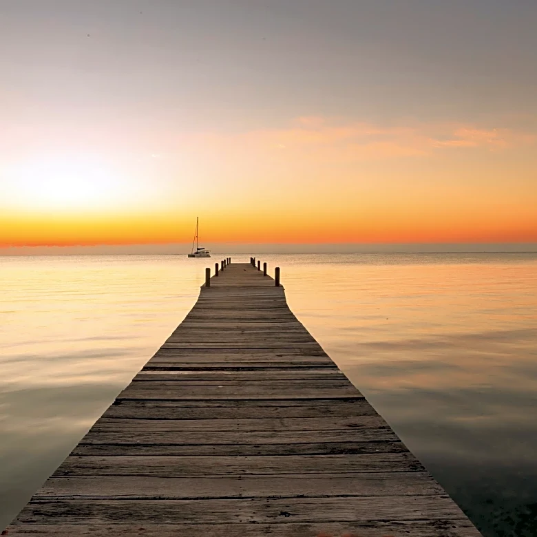 Late-Feb Warmup to Soak Central, Eastern US