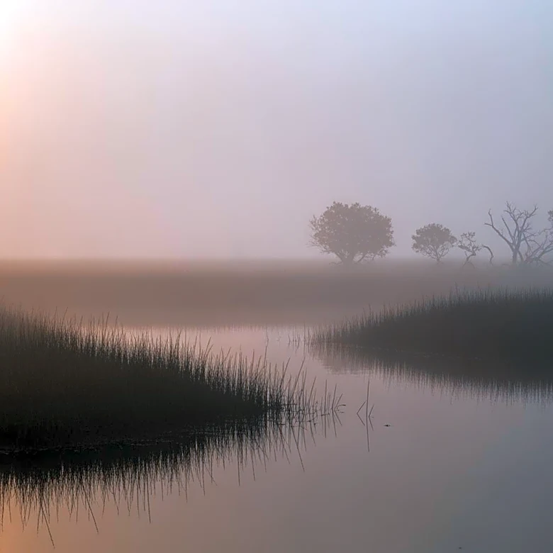 Dense Fog Advisory Issued in South Florida Due to Wildfire Smoke