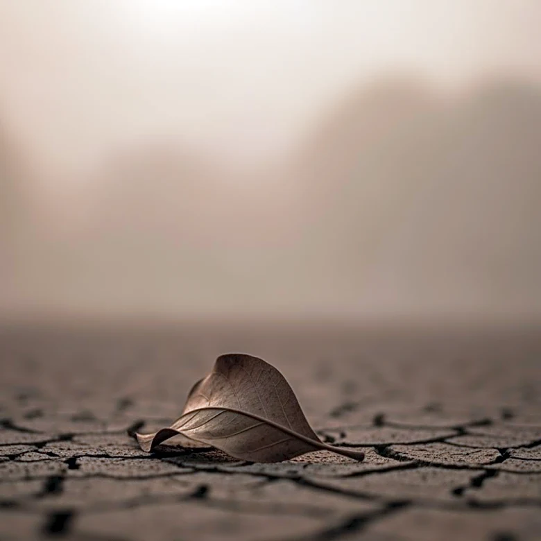 Unhealthy Air Quality Alert Issued for Southwest Georgia