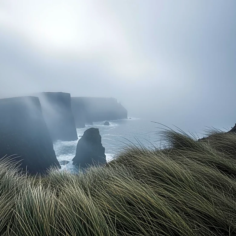 San Francisco's Summer Weather: Cold, Windy, and Foggy