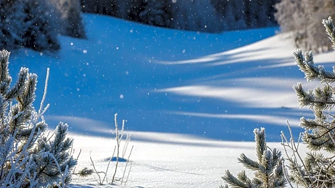 Snow Predicted for Carson City Valley Floor During Holiday Weekend