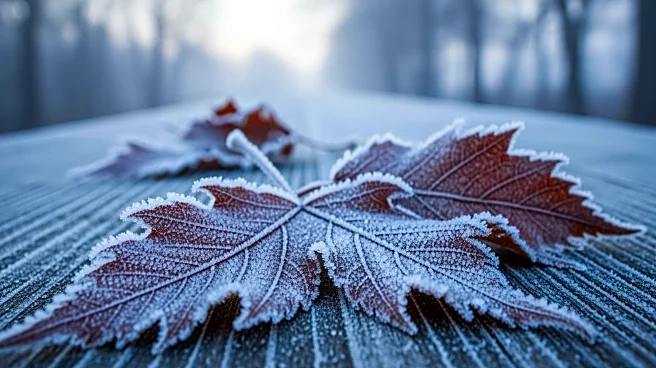 Chilly Weather Expected in Southeast Michigan This Weekend