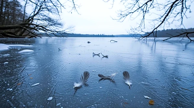 Frozen Waters in Berlin: Avian Influenza Concerns Amid Cold Snap