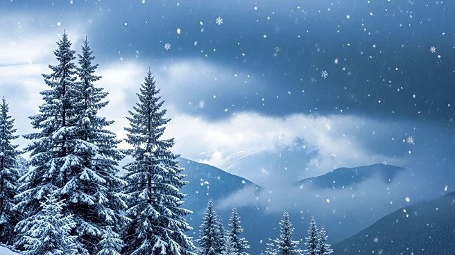 Eagle, CO: Mixed Rain and Snow Showers Expected Midweek