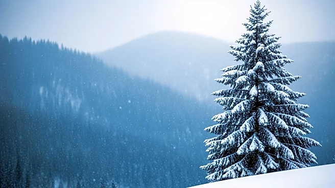 Winter Storm Warning: Up to 20 Inches of Snow Expected in California, Nevada, and Alaska