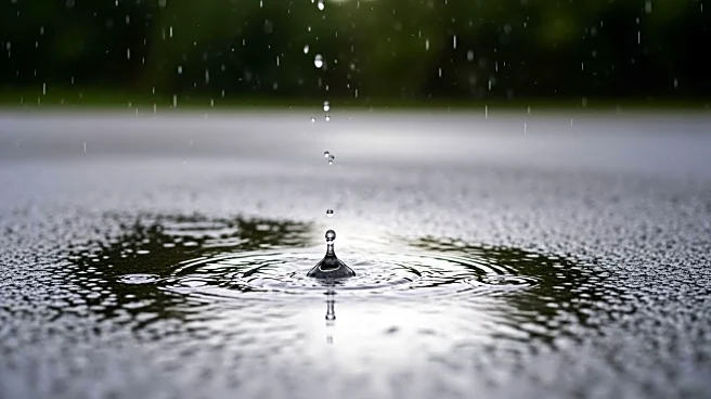 Rain Expected in Greenwood, SC with Potential for Heavy Downpours