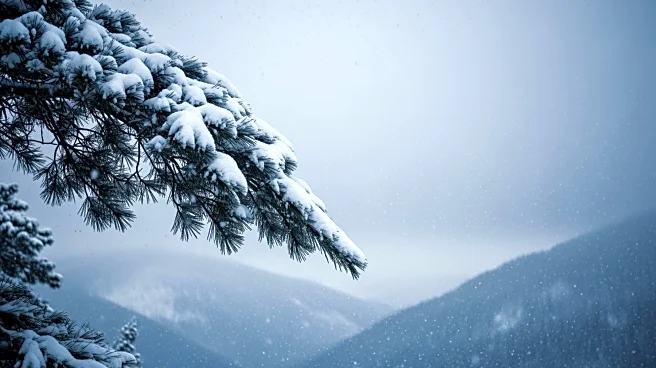 Winter Storm Warning: Heavy Snow in California, Nevada