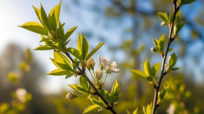 Spring-like Warmup Expected in NYC on Tuesday