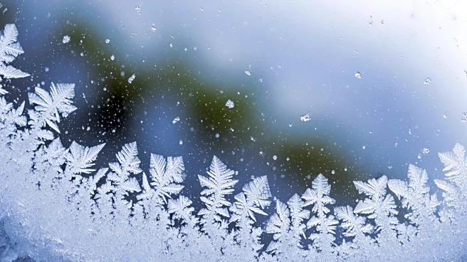 Bioaerosols from Terrestrial Ecosystems Influence Arctic Ice Formation