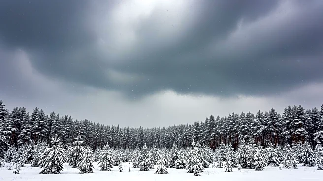 Major Winter Storm to Hit Interior Humboldt with Early Snowfall