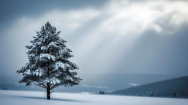 Intense Snowstorms Disrupt Hokkaido, Japan in Early 2026