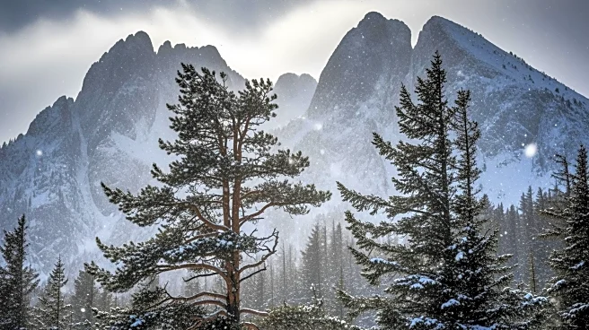 Heavy Snow and High Winds Impact Colorado's Mountains and Plains