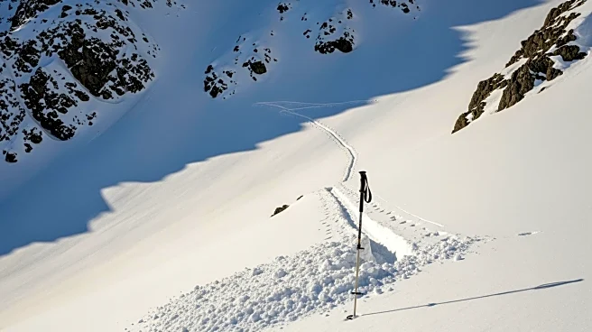 Avalanche Tragedy Strikes Backcountry Skiers in California's Sierra Nevada