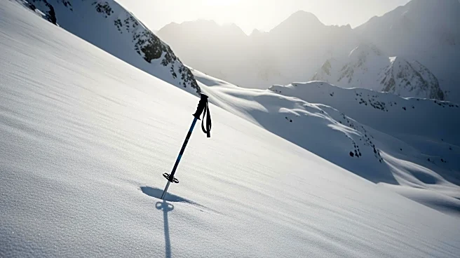 Avalanche in Sierra Nevada Claims Lives of Skilled Skiers