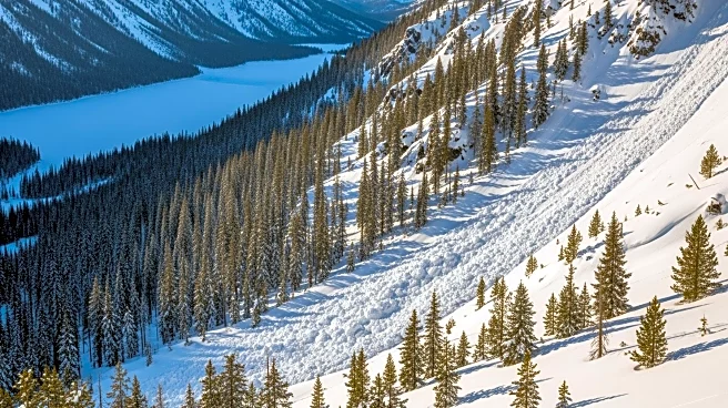 Deadly Avalanche Strikes Near Lake Tahoe, California