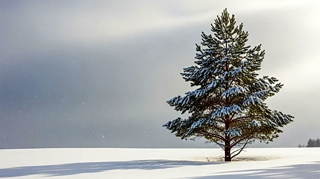 Potential Snowstorm to Impact East Coast This Weekend