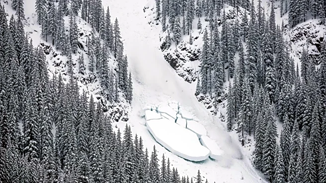 Avalanche in Tahoe National Forest Claims Lives Amid Heavy Snowfall