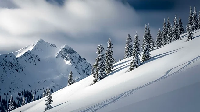 Considerable Avalanche Risks Following Late-Winter Storm in Montana