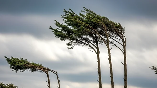 Wind Advisory in Effect Until Friday Afternoon in Chicago