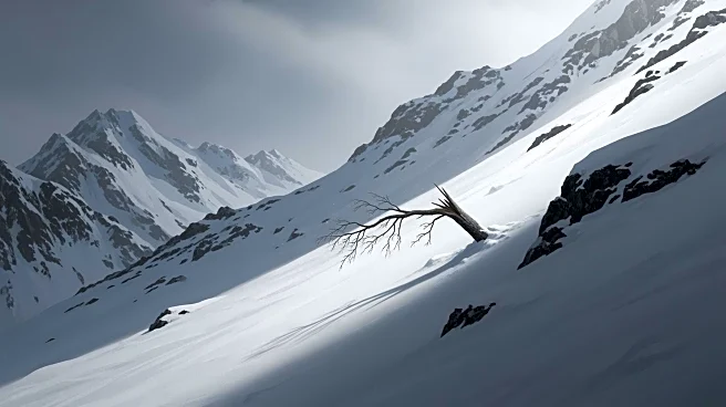 Investigation Underway for Deadly Avalanche in California