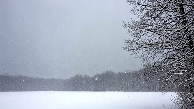 Winter Storm Warning Across 8 States: Up to 15 Inches of Snow Expected