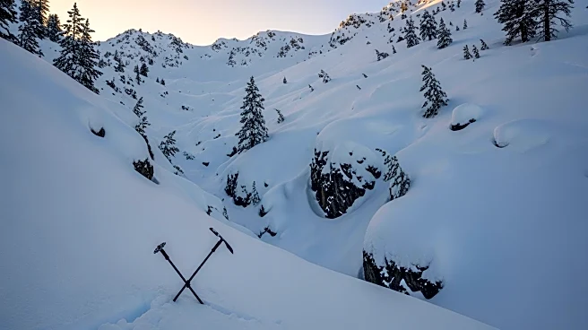 Investigation Underway for Deadly Avalanche in California's Sierra Nevada